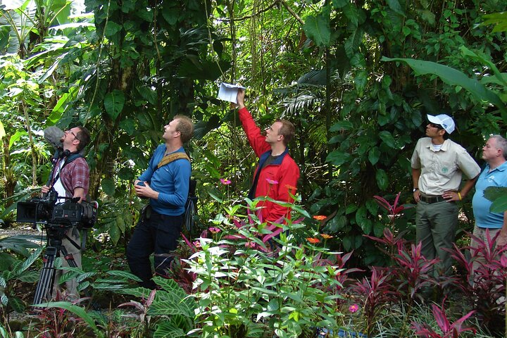La Fortuna Birds and Frogs 2 Guided Tours combo.  - Photo 1 of 25